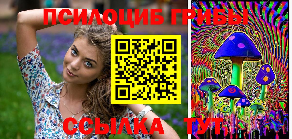 Псилоцибиновые грибы мицелий Урюпинск